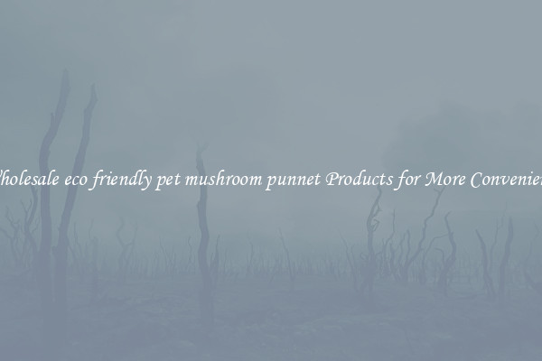 Wholesale eco friendly pet mushroom punnet Products for More Convenience