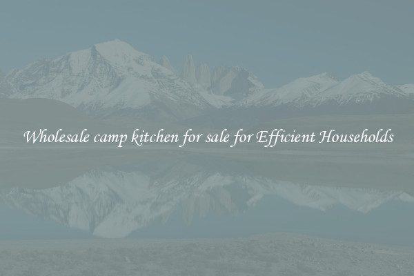 Wholesale camp kitchen for sale for Efficient Households