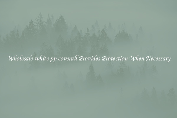 Wholesale white pp coverall Provides Protection When Necessary