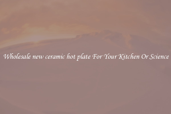 Wholesale new ceramic hot plate For Your Kitchen Or Science