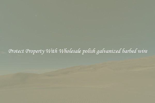 Protect Property With Wholesale polish galvanized barbed wire