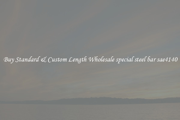 Buy Standard & Custom Length Wholesale special steel bar sae4140