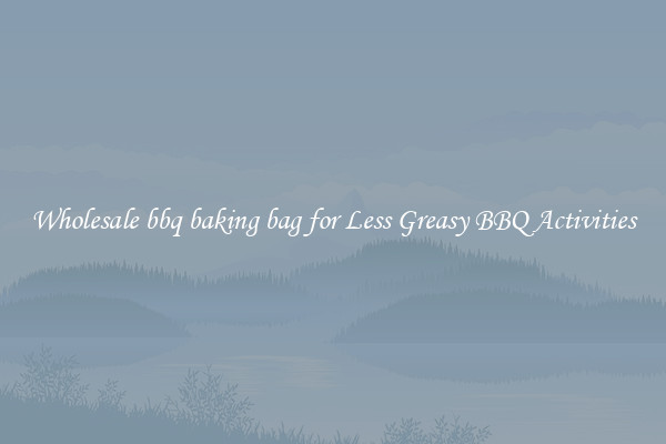 Wholesale bbq baking bag for Less Greasy BBQ Activities