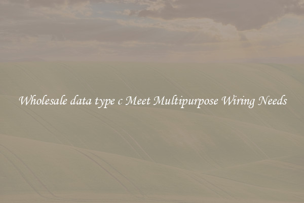 Wholesale data type c Meet Multipurpose Wiring Needs
