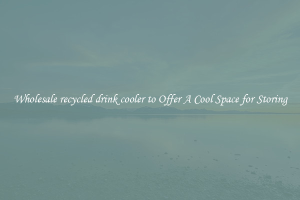 Wholesale recycled drink cooler to Offer A Cool Space for Storing