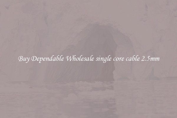 Buy Dependable Wholesale single core cable 2.5mm