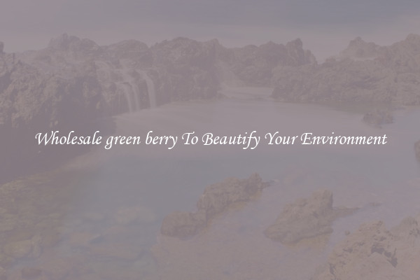 Wholesale green berry To Beautify Your Environment