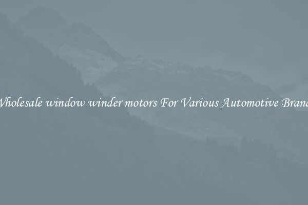 Wholesale window winder motors For Various Automotive Brands
