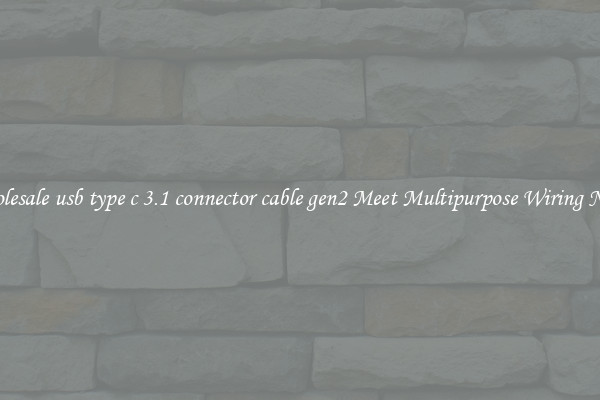 Wholesale usb type c 3.1 connector cable gen2 Meet Multipurpose Wiring Needs