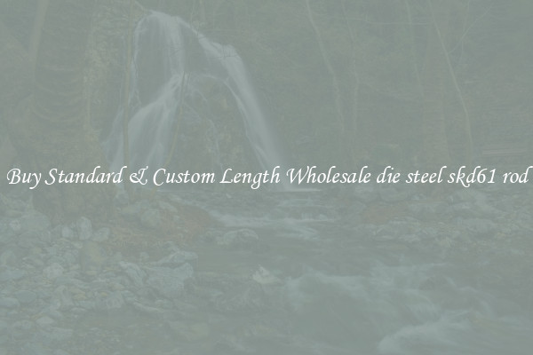 Buy Standard & Custom Length Wholesale die steel skd61 rod