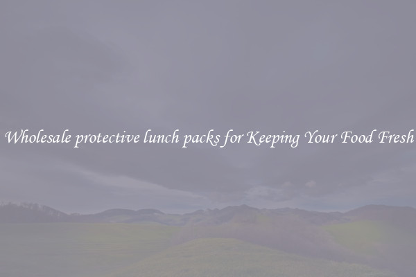 Wholesale protective lunch packs for Keeping Your Food Fresh
