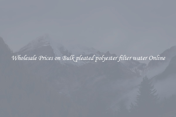Wholesale Prices on Bulk pleated polyester filter water Online