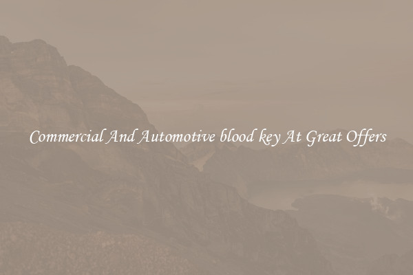 Commercial And Automotive blood key At Great Offers