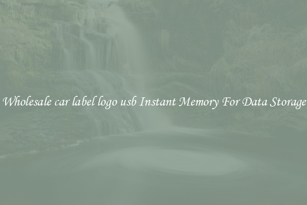 Wholesale car label logo usb Instant Memory For Data Storage