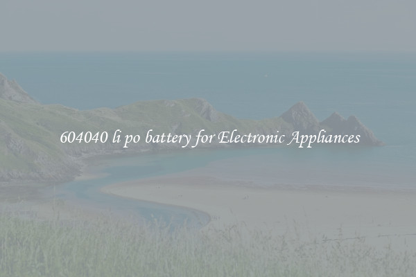 604040 li po battery for Electronic Appliances