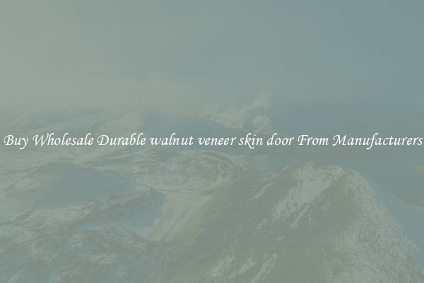 Buy Wholesale Durable walnut veneer skin door From Manufacturers