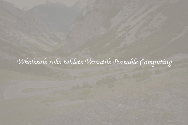 Wholesale rohs tablets Versatile Portable Computing