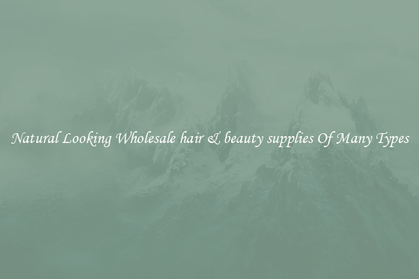 Natural Looking Wholesale hair & beauty supplies Of Many Types